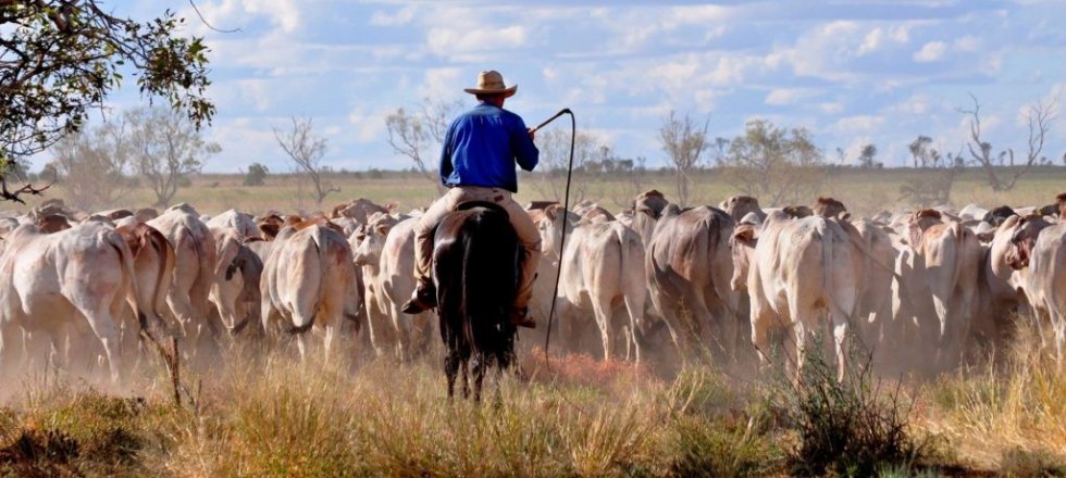 list-of-top-biggest-farms-in-the-world-biggest-farm-ever